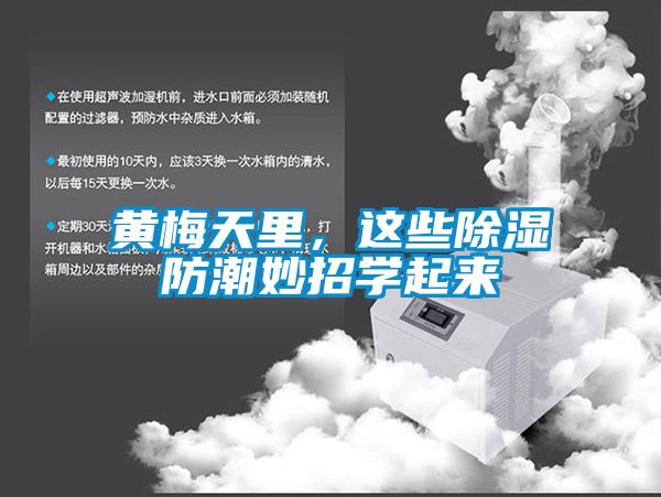 黃梅天里，這些除濕防潮妙招學(xué)起來