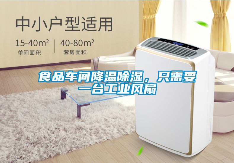 食品車間降溫除濕，只需要一臺(tái)工業(yè)風(fēng)扇