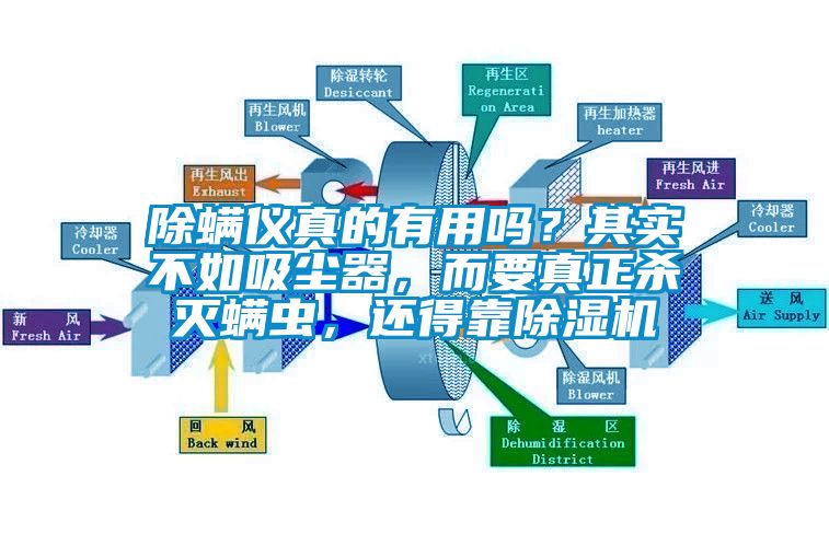 除螨儀真的有用嗎？其實(shí)不如吸塵器，而要真正殺滅螨蟲，還得靠除濕機(jī)