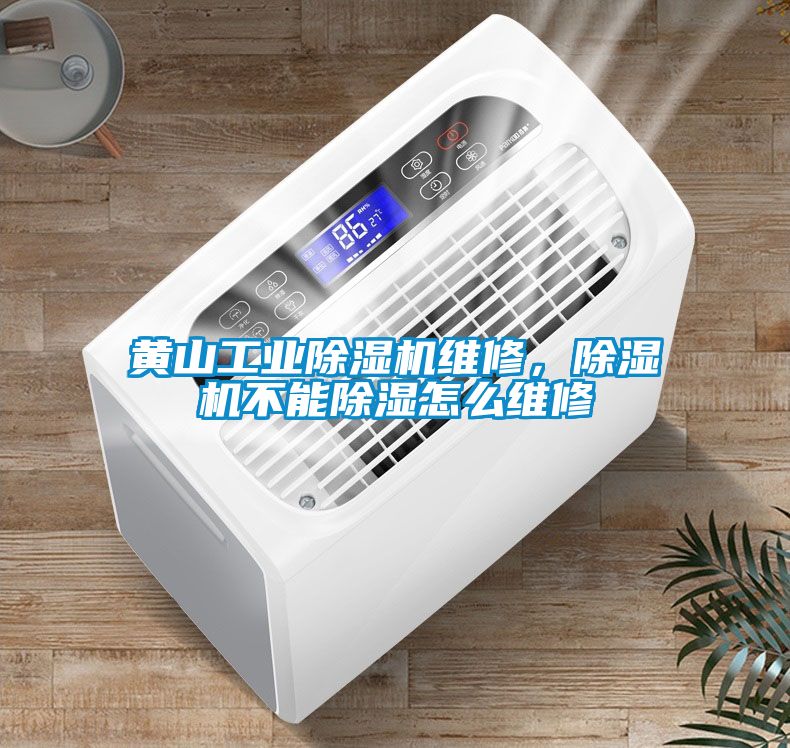 黃山工業(yè)除濕機(jī)維修，除濕機(jī)不能除濕怎么維修