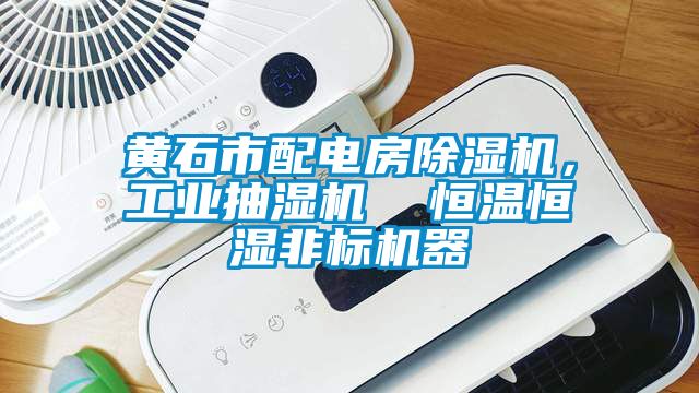 黃石市配電房除濕機(jī)，工業(yè)抽濕機(jī)  恒溫恒濕非標(biāo)機(jī)器